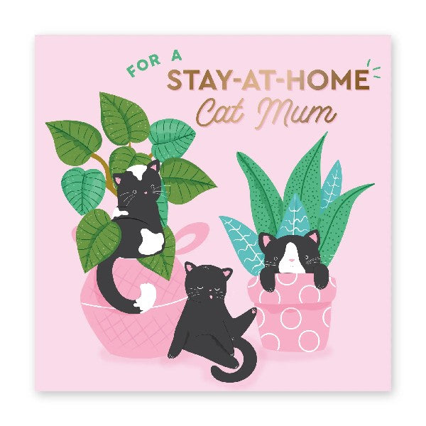 Stay At Home Cat Mom