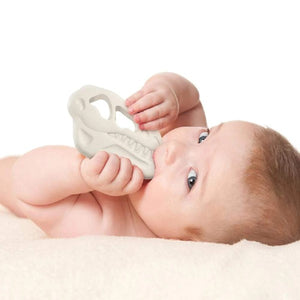 Fred & Friends Teether Rex Soother