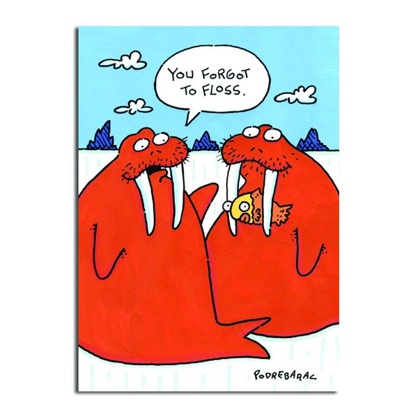 Walrus Floss - 2266BD