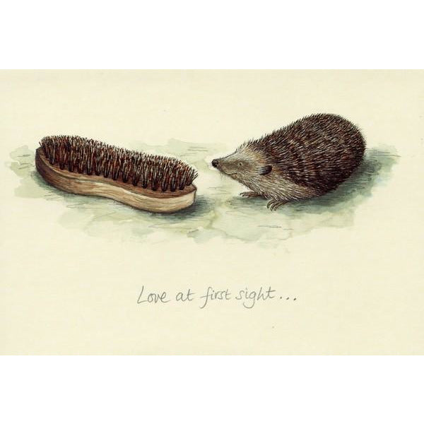 Love At First Sight - IB17