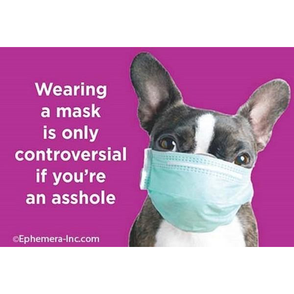 Wearing a Mask Magnet