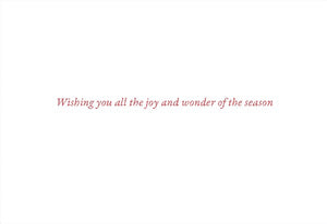 Woodland Wonder Boxed Holiday Cards